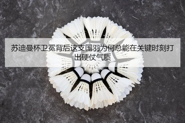 su-di-man-bei-wei-mian-bei-hou-zhe-zhi-guo-yu-wei-he-zong-neng-zai-guan-jian-shi-ke-da-chu-ying-zhang-qi-zhi-2-710.jpg